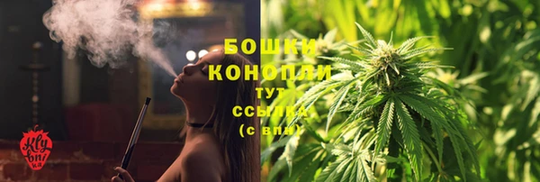дмт Дмитриев
