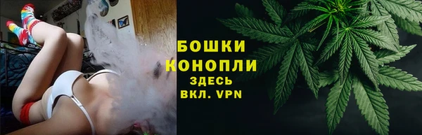 Альфа ПВП Дмитров