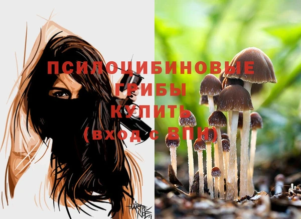 Альфа ПВП Дмитров