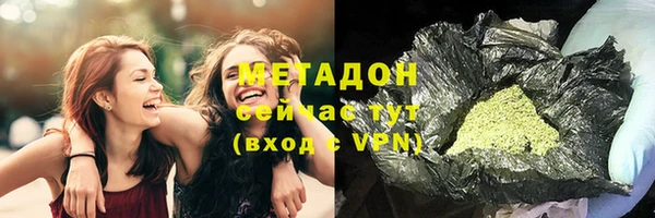 дмт Дмитриев