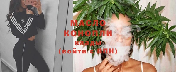 дмт Дмитриев