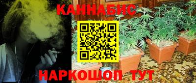 эйфоретик Жуковский
