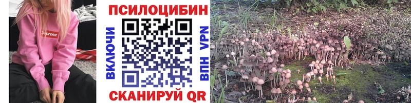 Галлюциногенные грибы Psilocybine cubensis  цены наркотик  OMG ТОР  Зеленодольск 
