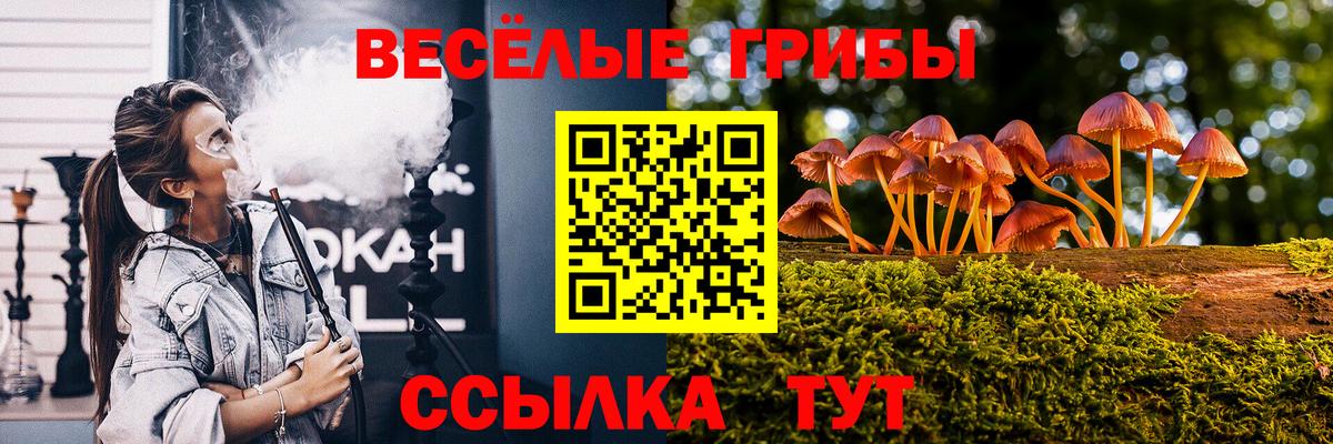 Псилоцибиновые грибы мицелий Зеленодольск